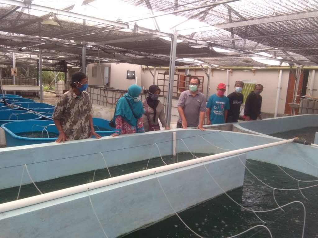 Agustus 2021 – PUIPT Microalgae Biorefinery PSE UGM